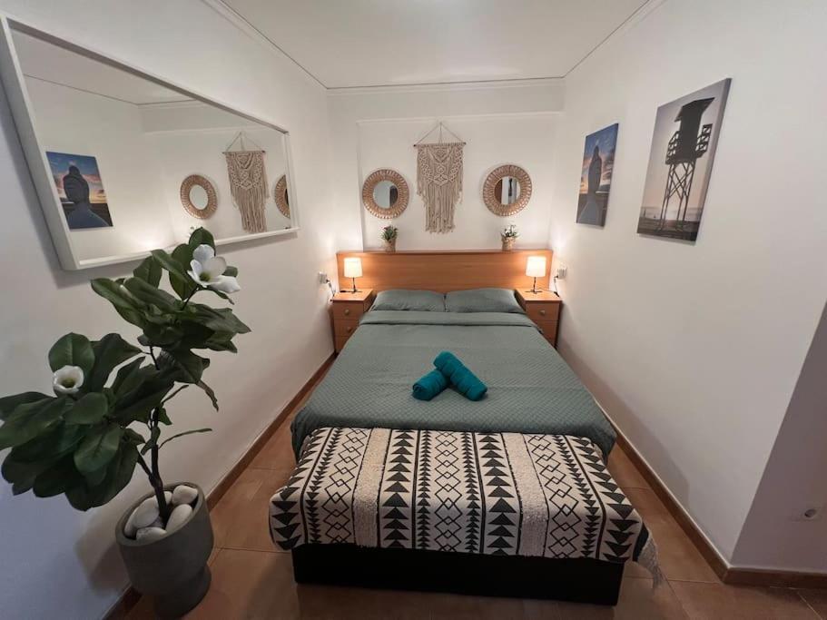 Apartamento Monika Playa Y Grau Gandía Εξωτερικό φωτογραφία